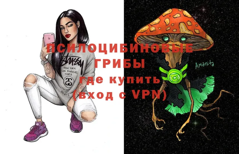 Галлюциногенные грибы Psilocybe  Гурьевск 